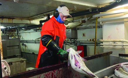 Hallgeir satser på læretid og jobb på tråler