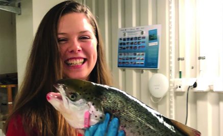 Yrkesrelevant utdanning tett på teori og praksis