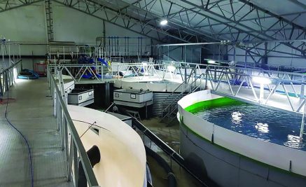 Spennande med setjeﬁsk og RAS-teknologi