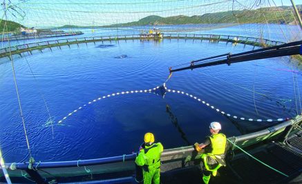 En vanlig arbeidsdag for to unge oppdrettsarbeidere